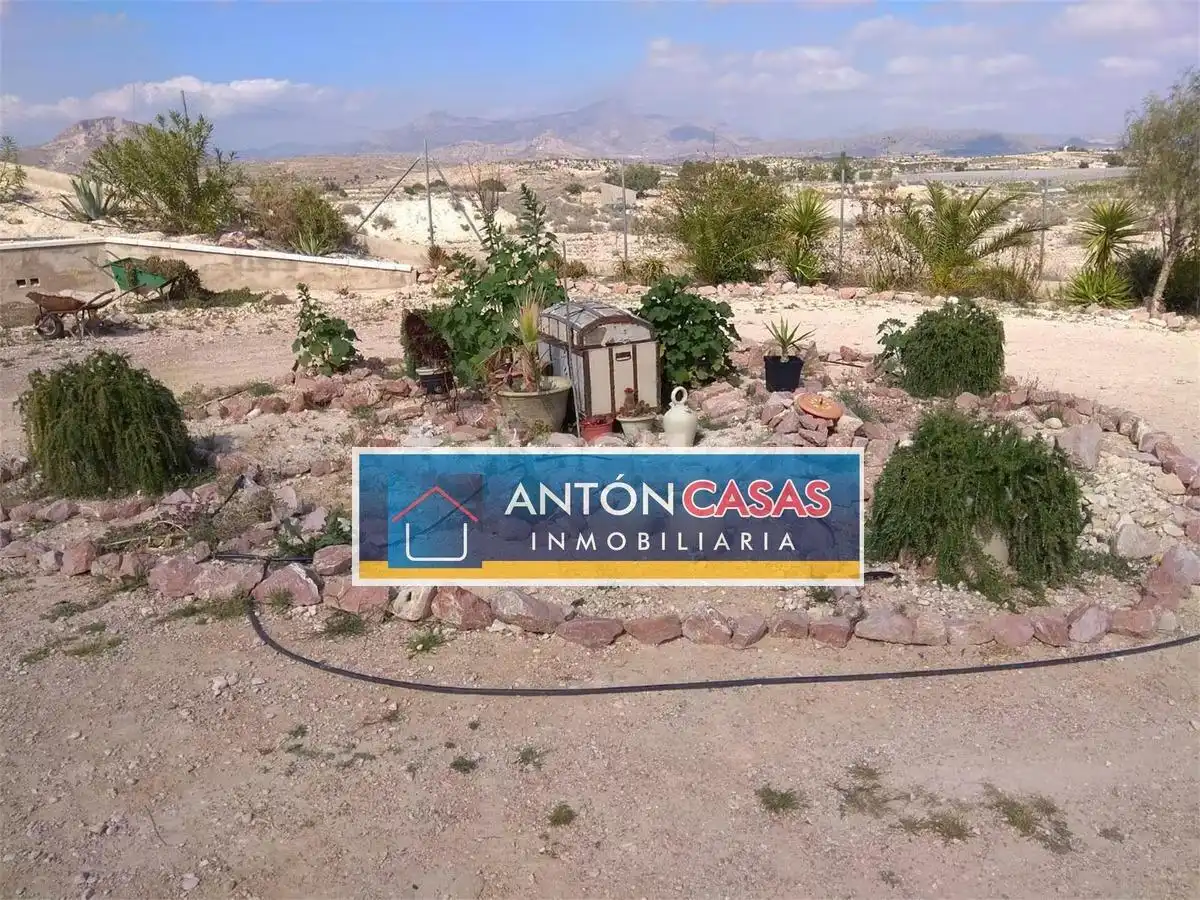 Finca rústica en venda a Novelda