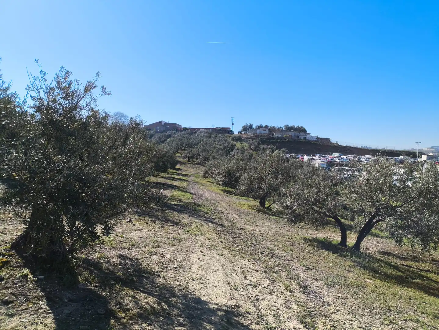 Terreni e lotti in vendita a Mengíbar, imagen 4