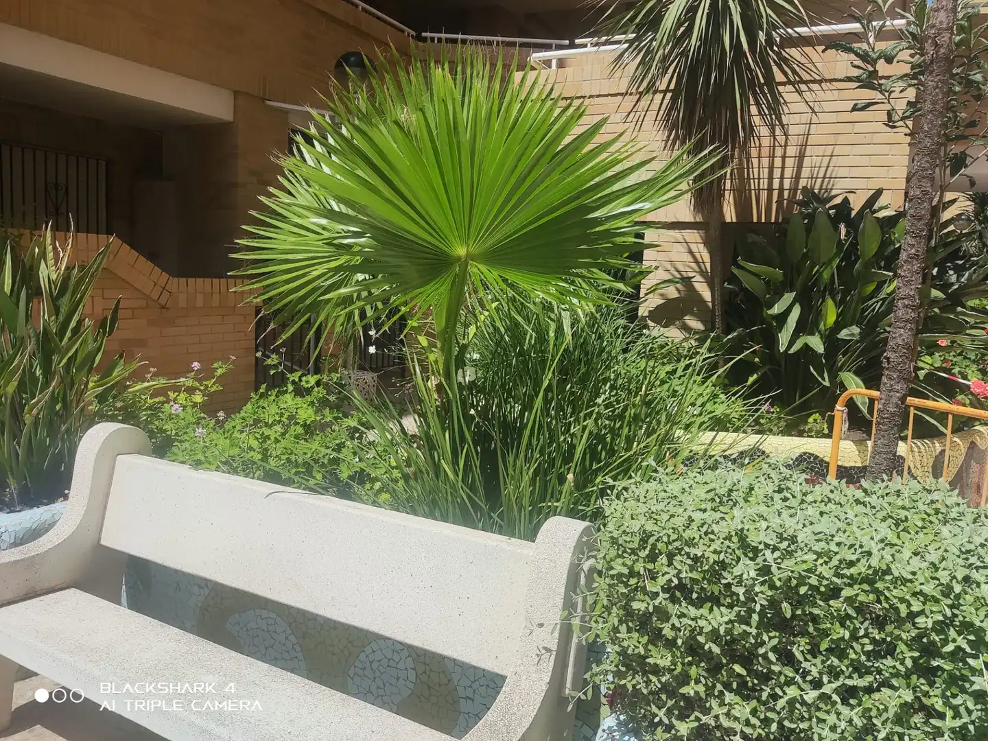 Apartamento con piscina en venta en Camino l'Atall 18, imagen 9