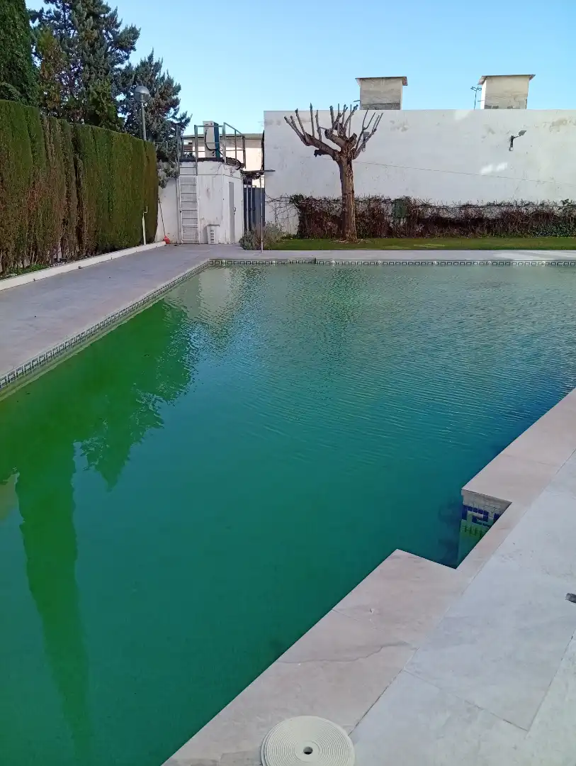 Schwimmbecken von Wohnungen zur Miete in  Granada Capital mit Heizung, Terrasse und Möbliert