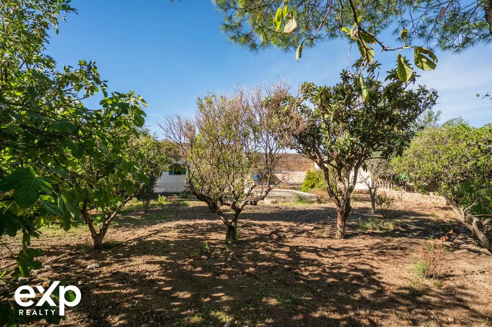 Duplex con terrazza in vendita a Campanet, imagen 19