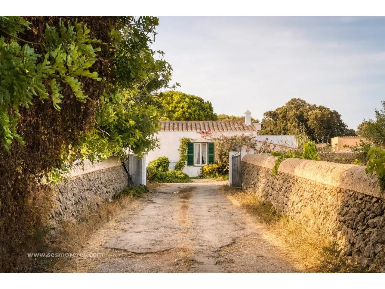 Terreno rustico in vendita a Calle finca Santa Rosa de Lima, imagen 3