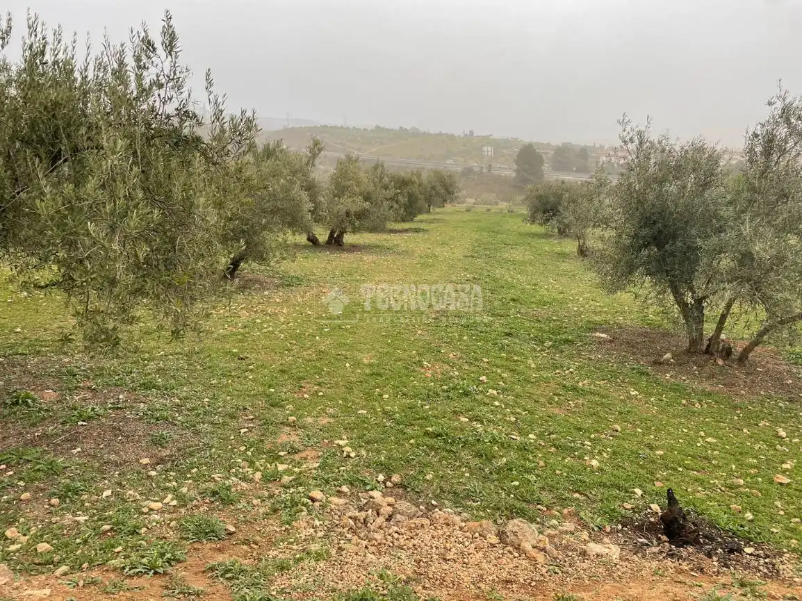 Terrenys i solars en venda a Albolote, imagen 10