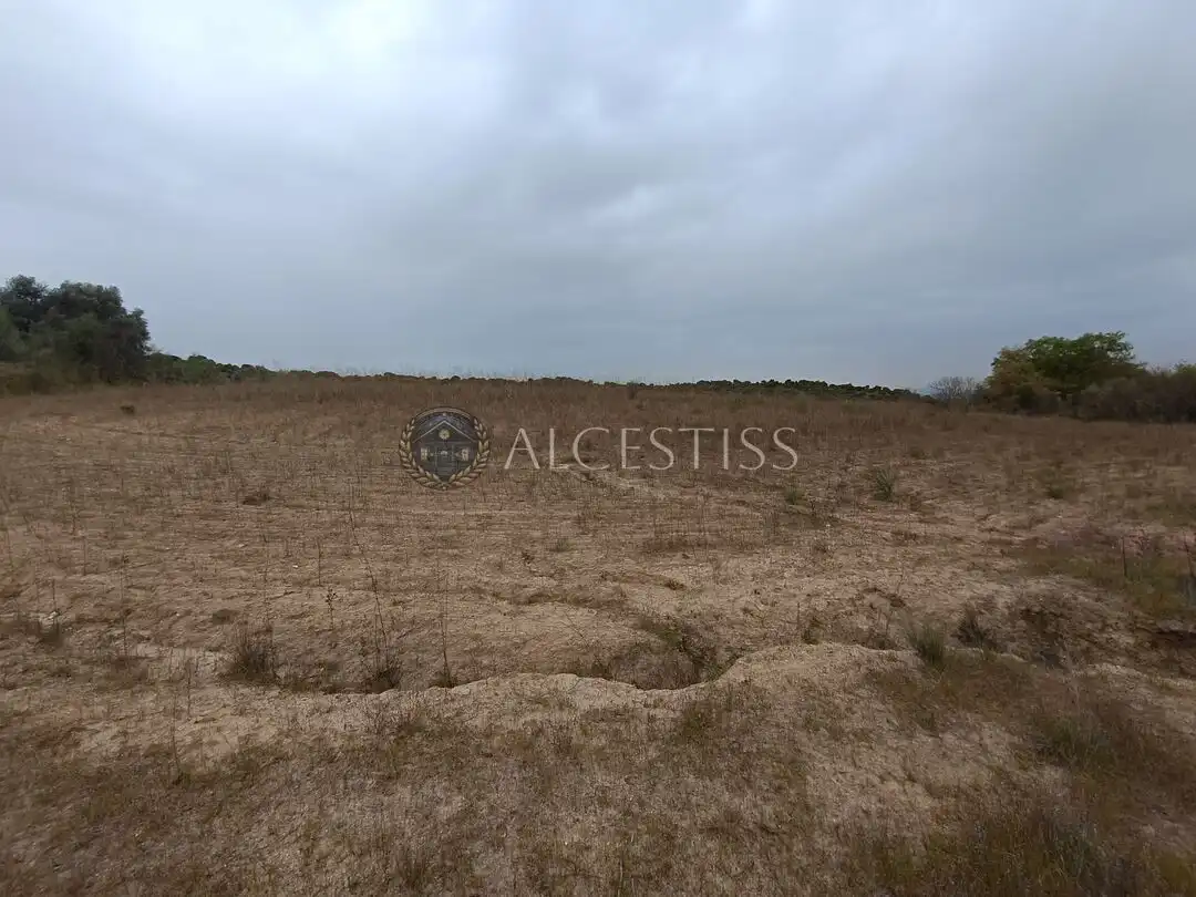 Terreno rústico en venta en Aldea del Fresno, imagen 11
