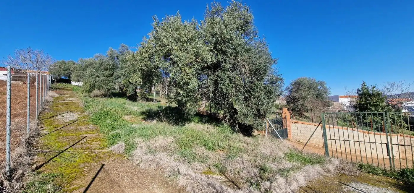Finca rústica en venta en Salvatierra de los Barros con Jardín privado, Terraza y Trastero