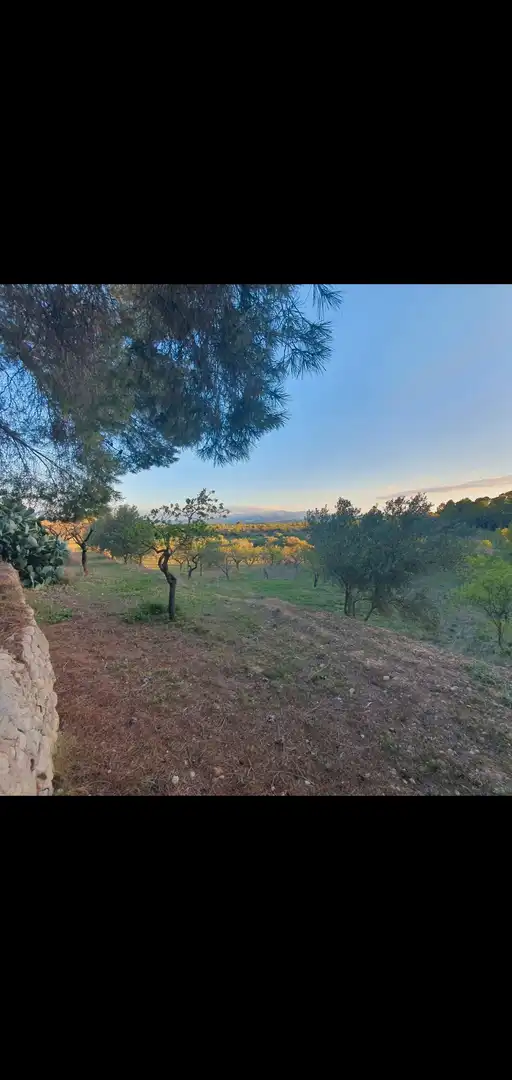 Casa en venta en Móra d'Ebre, imagen 13