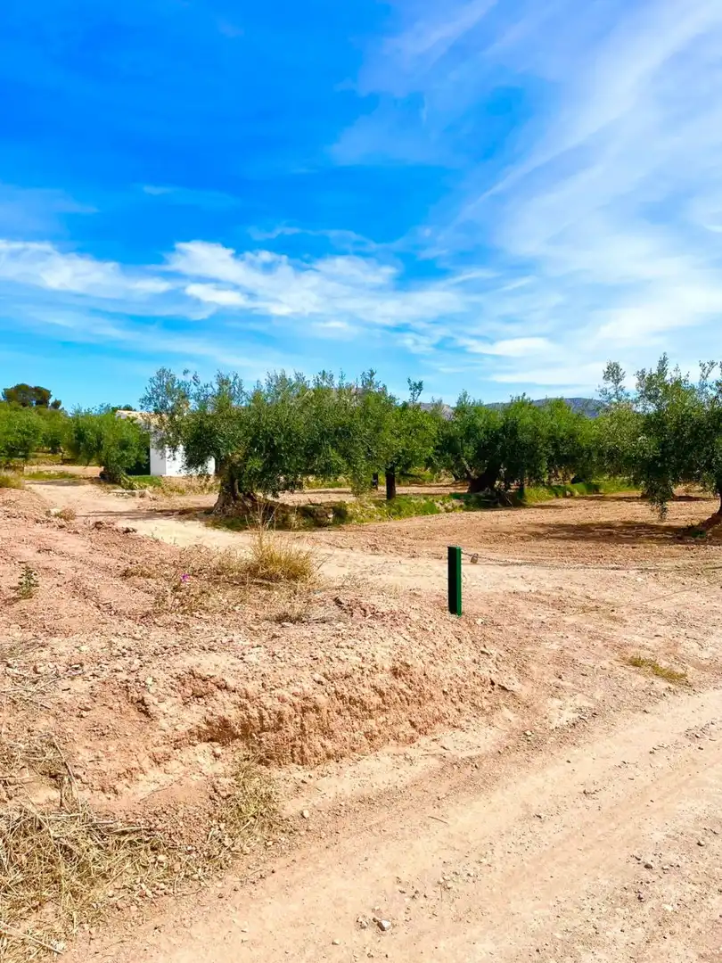 Terreny residencial en venda a Vélez-Rubio, imagen 7