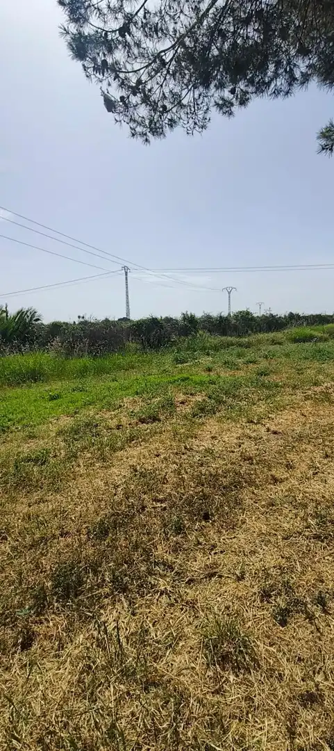 Casa o xalet en venda en Picassent