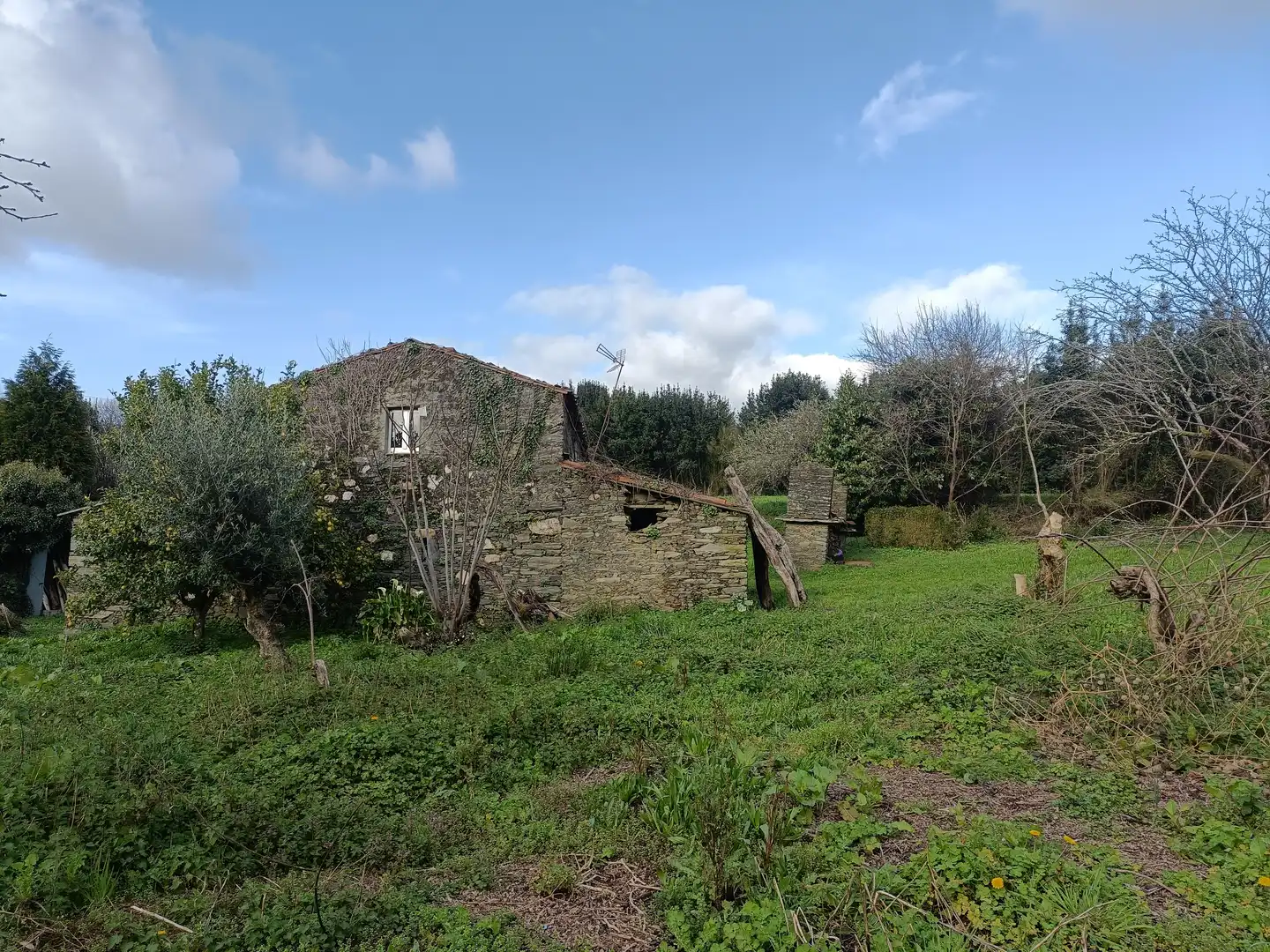 Casa o xalet en venda en Cesuras amb Jardí privat