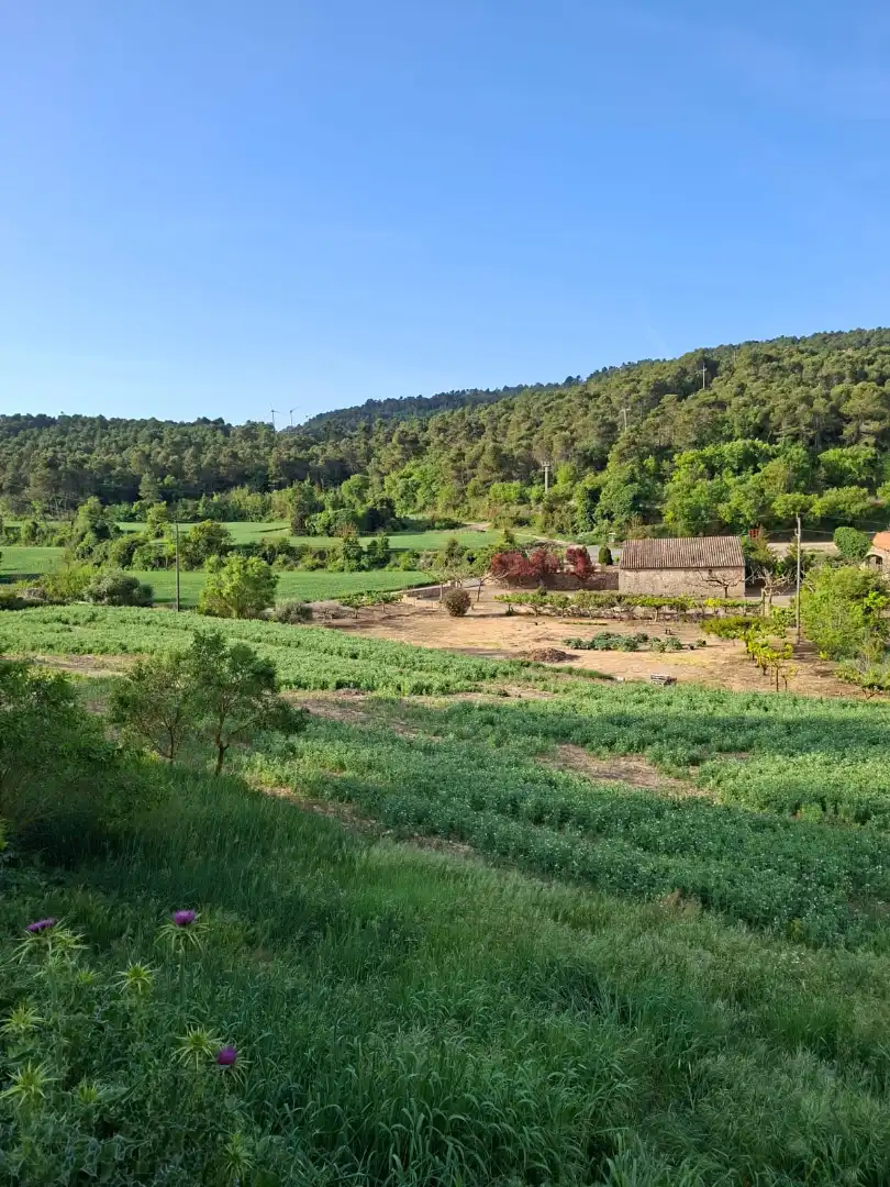 Terreno rústico en venta en Vallbona de Les Monges, imagen 51