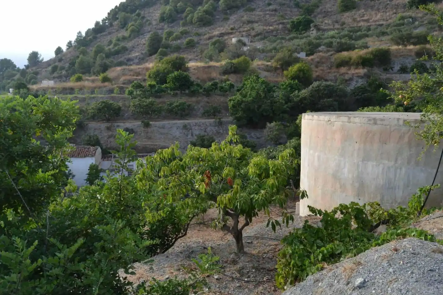 Country house with garden for sale in Camino Río Seco, imagen 2