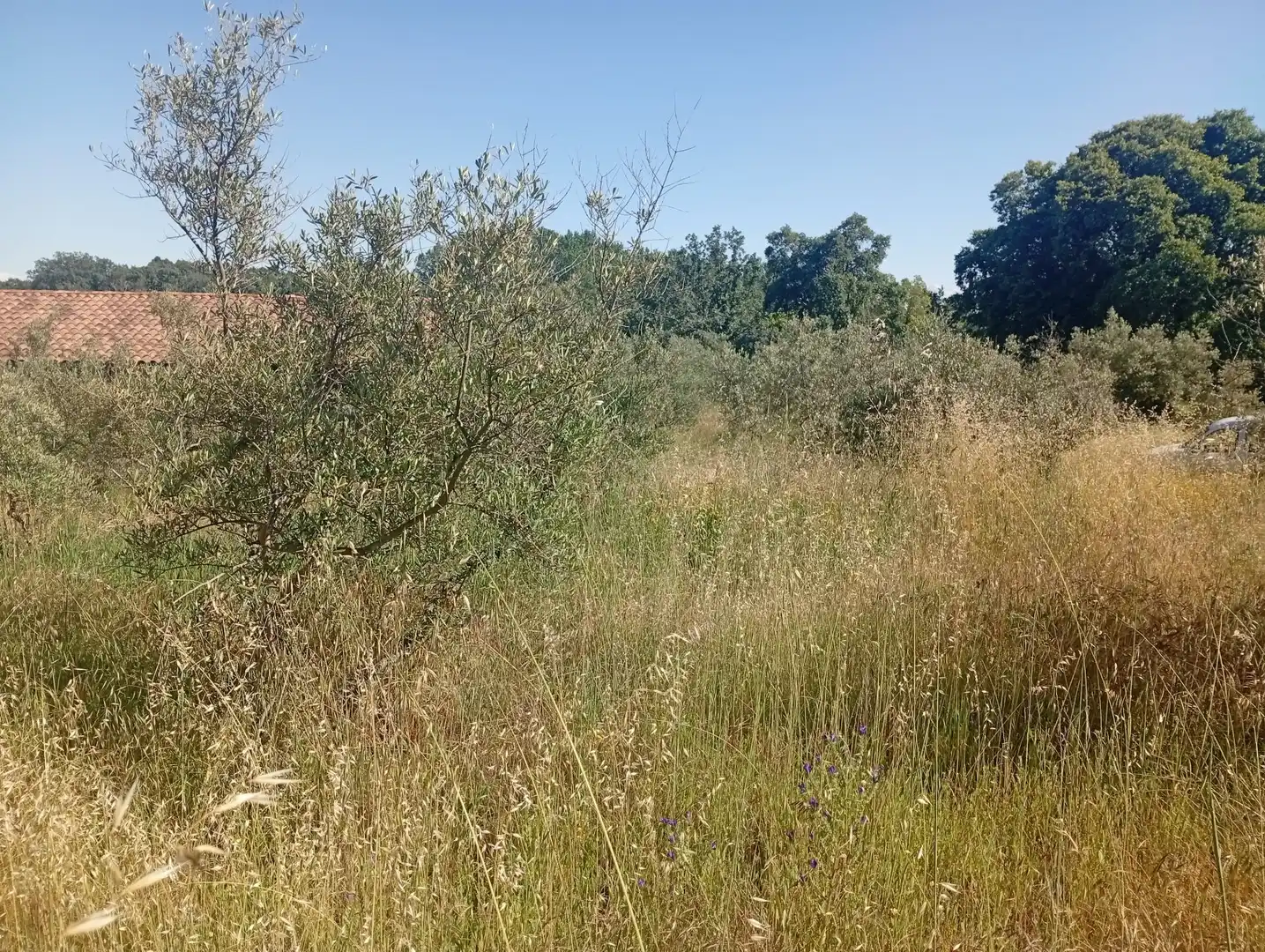 Maison à vendre à Villanueva de la Vera, imagen 77
