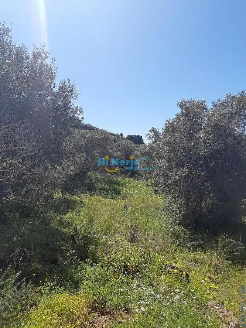 Terreni e lotti in vendita a Torrox Pueblo, imagen 18