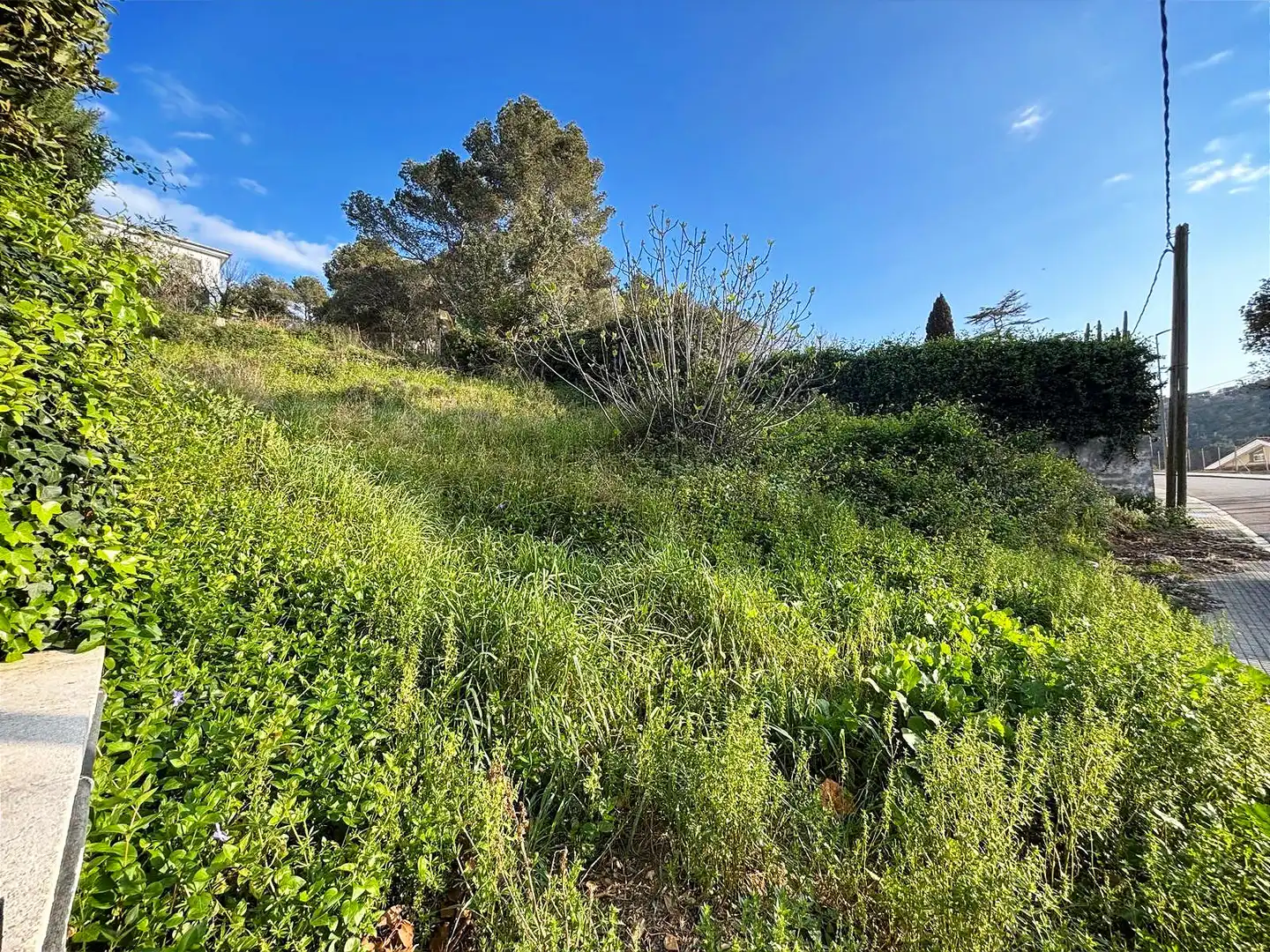 Terreno residencial en venta en Canyelles, imagen 17