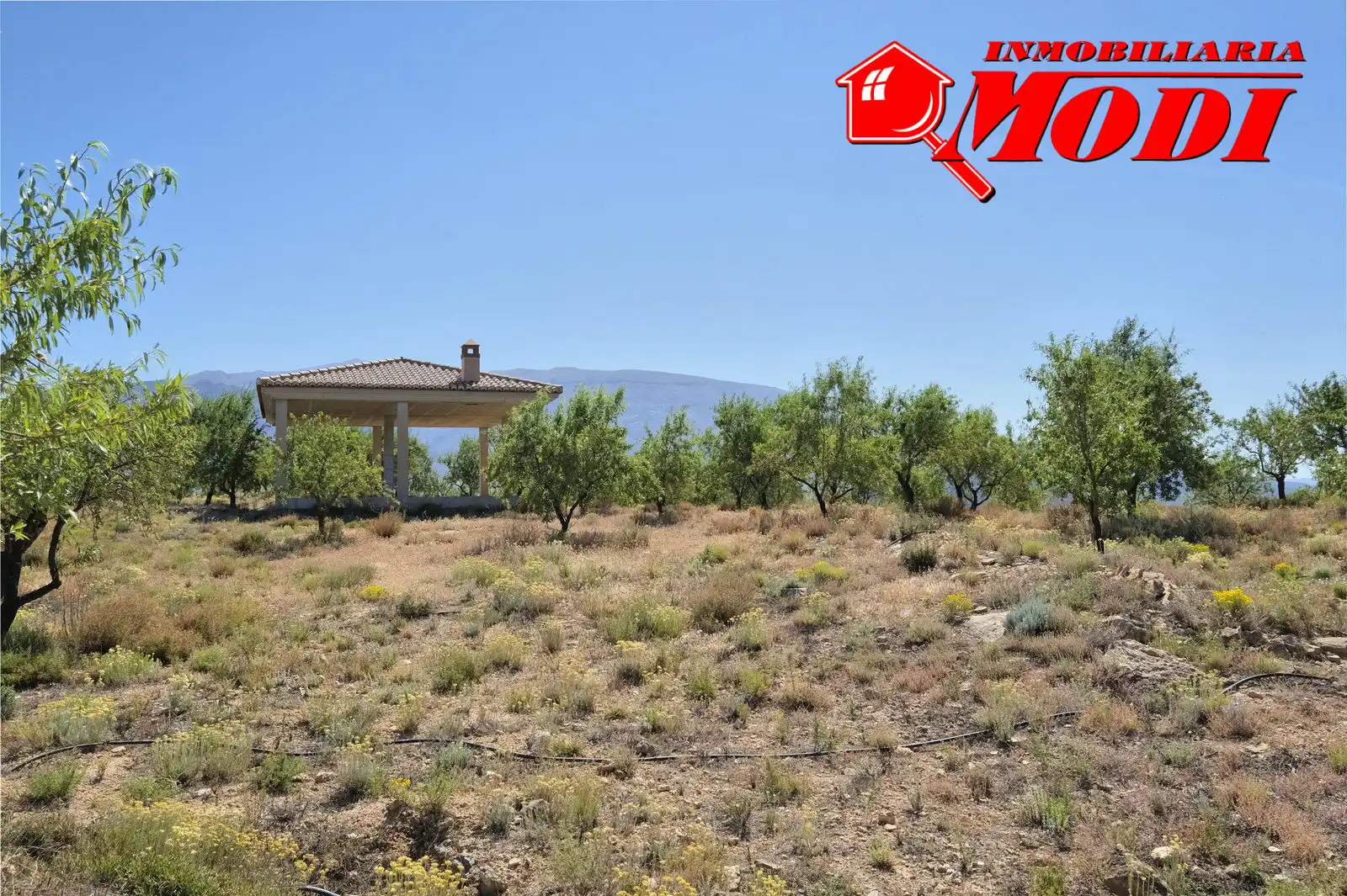 Casa rústica amb jardí en venda a Villamena, imagen 50