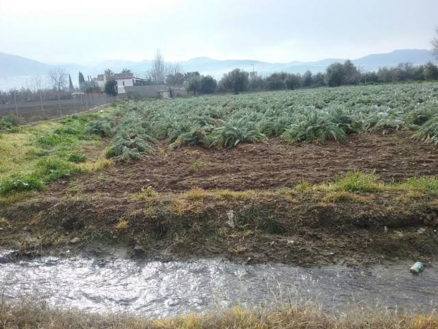 Terreno en Venta en Lancha del Genil