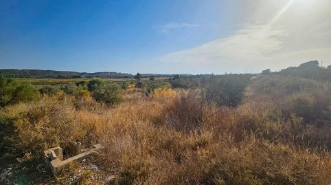 Foto 5 de Terreno en venta en Plá de la Vallonga, Alicante, Spain, -1, Pla de la Vallonga, Alicante / Alacant