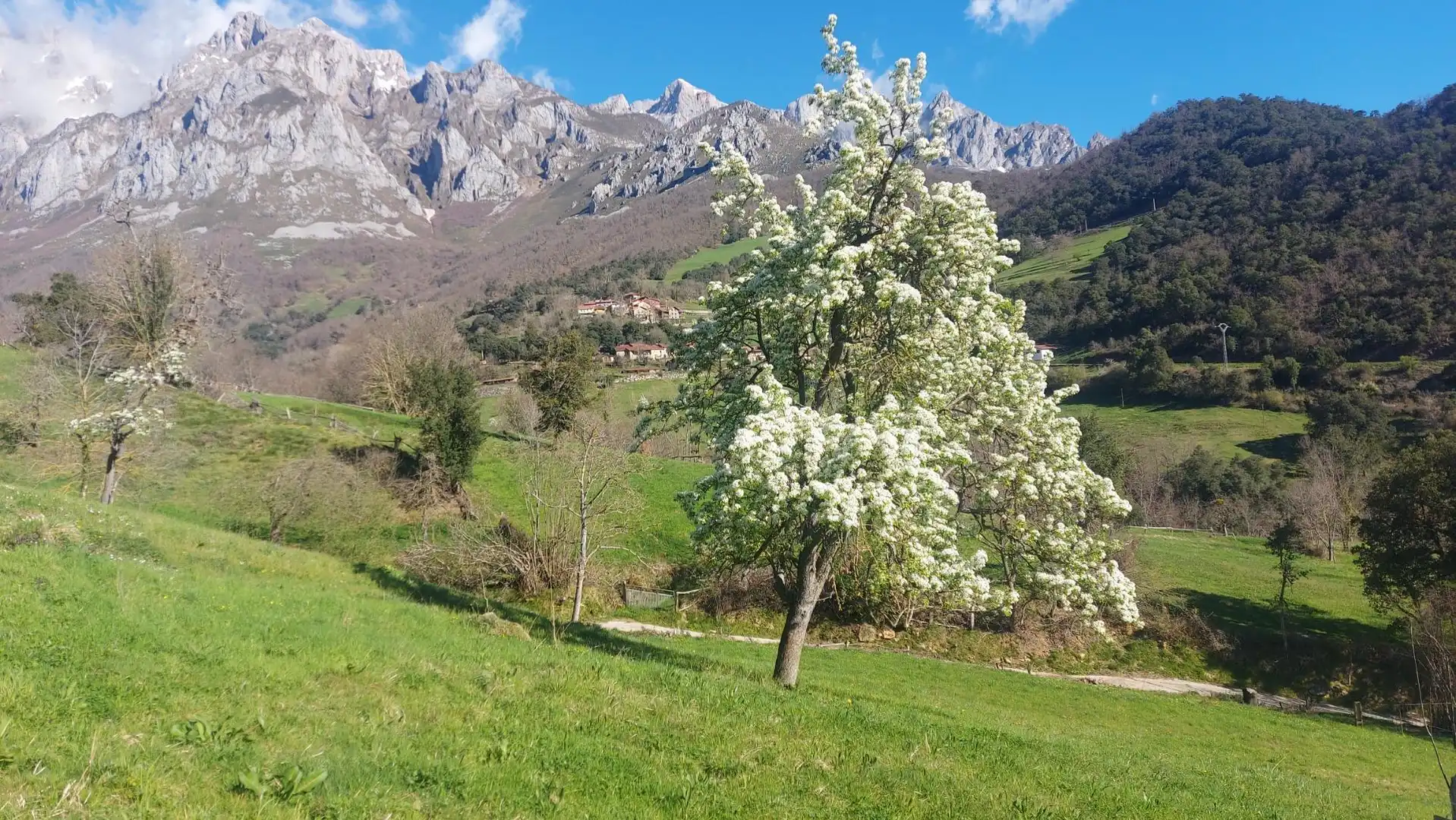 Terreni e lotti in vendita a Camaleño, imagen 2
