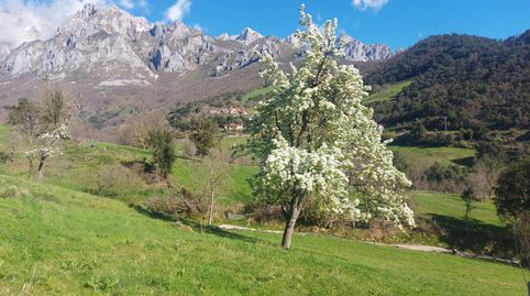 Venta de terreno rústico urbanizable en Liébana, immagine 2