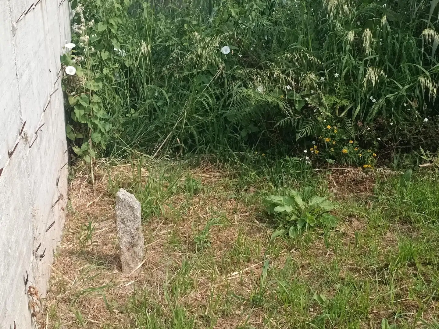 Rural land for sale in Camino SAN XURXO-SAIANS 20, imagen 7