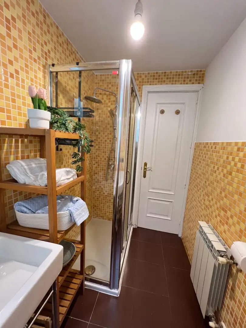 Bany de Apartament de lloguer en Madrid amb Aire condicionat i Calefacció