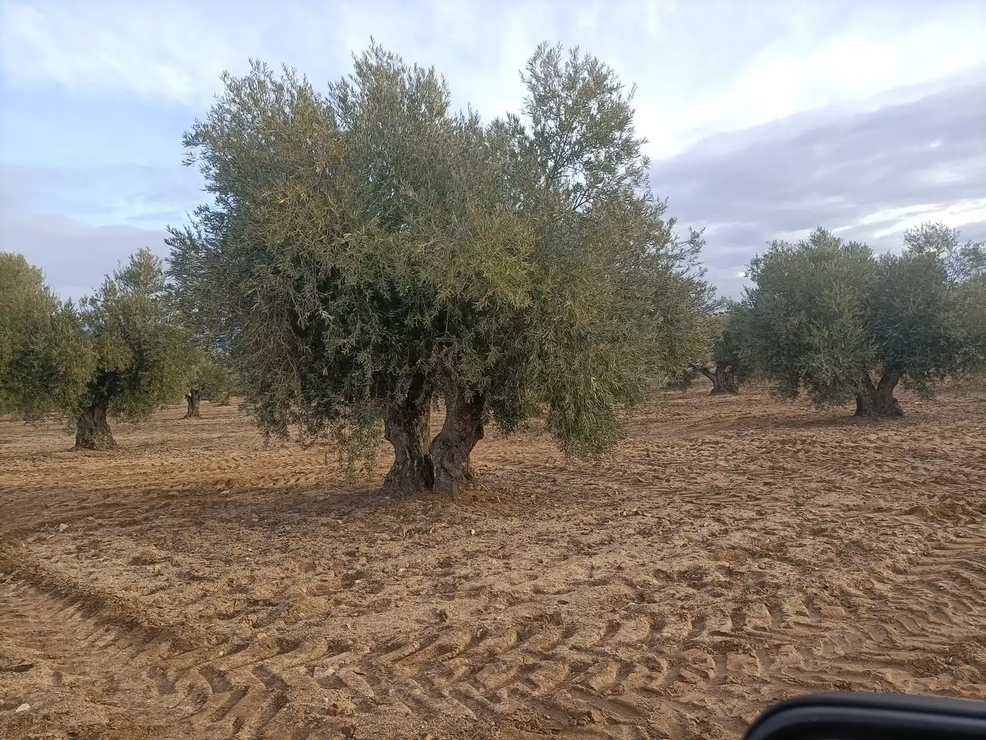 Terreni e lotti in vendita a Villaminaya, imagen 4