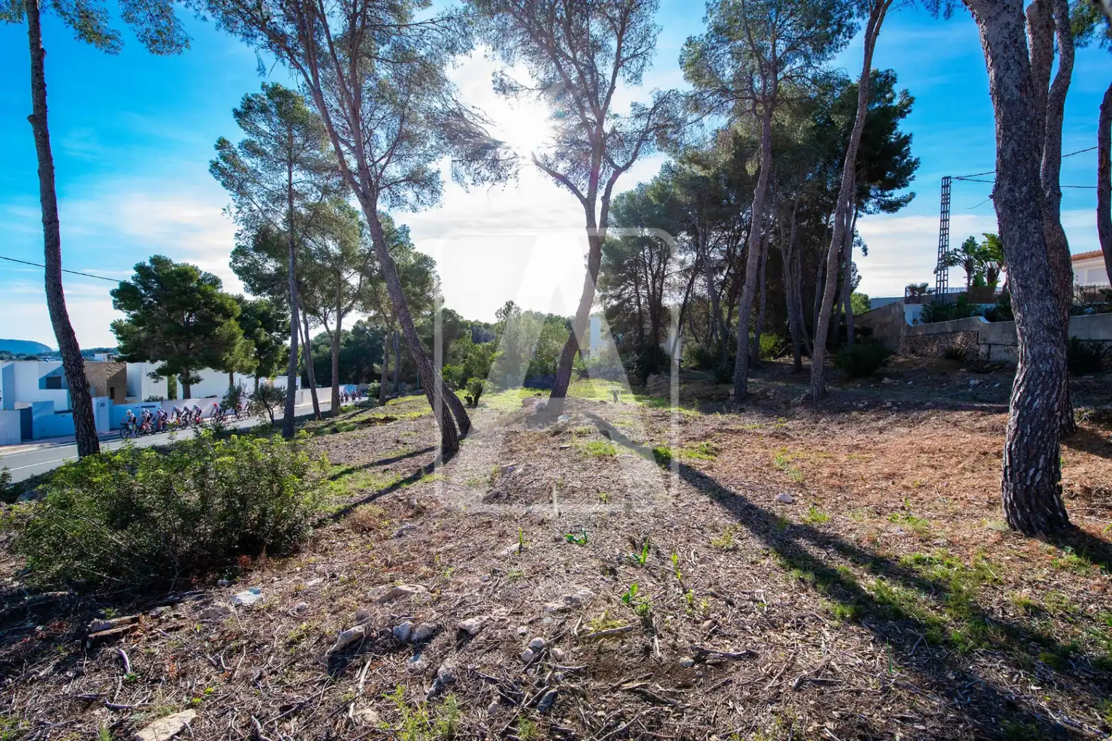 Villa con piscina in vendita a Cala Advocat - Baladrar, imagen 12