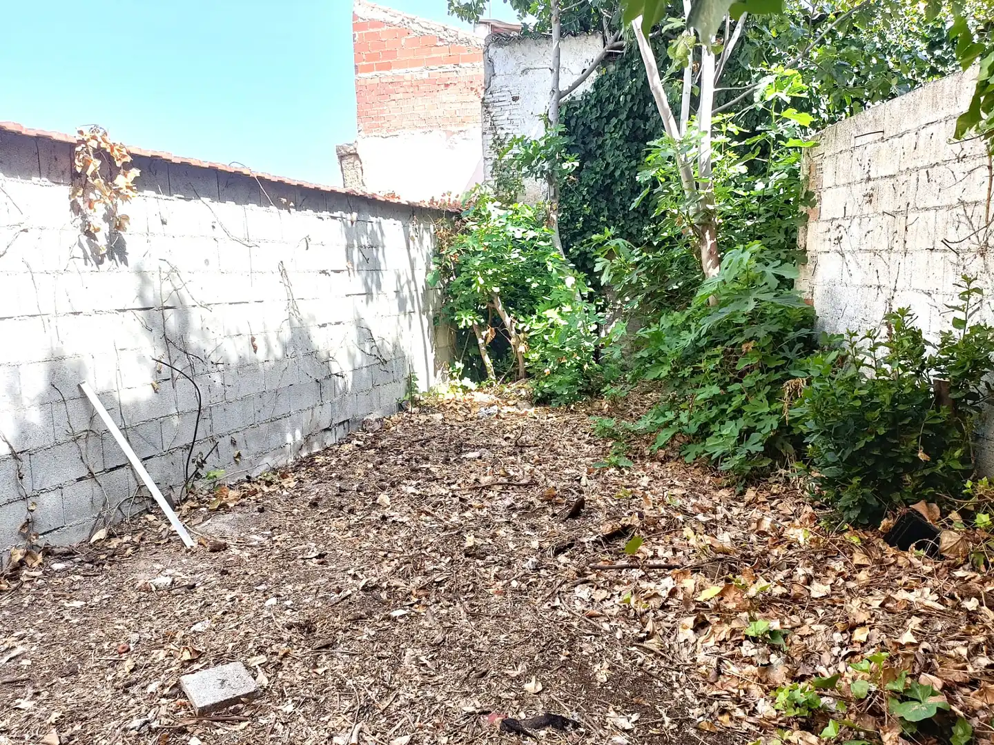 Casa en venda a Calle Morera