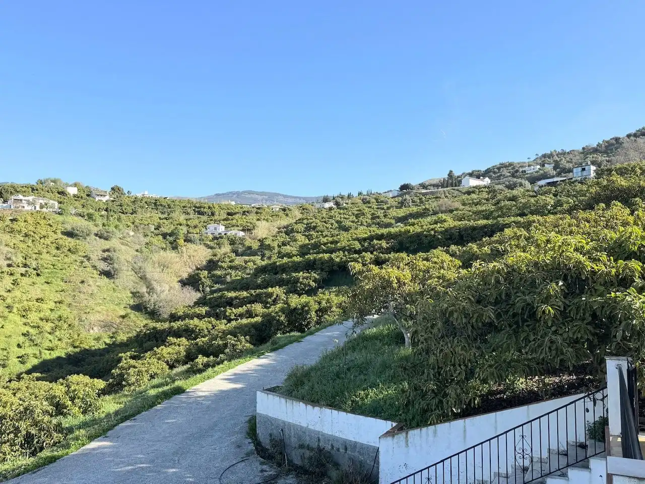 Exterior view of Land for sale in Canillas de Albaida