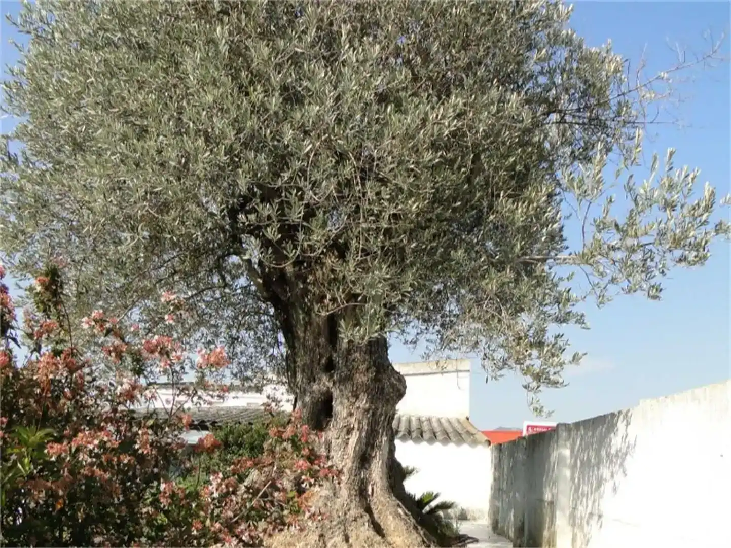 Jardí de Casa o xalet en venda en Haro amb Jardí privat, Piscina i Balcó