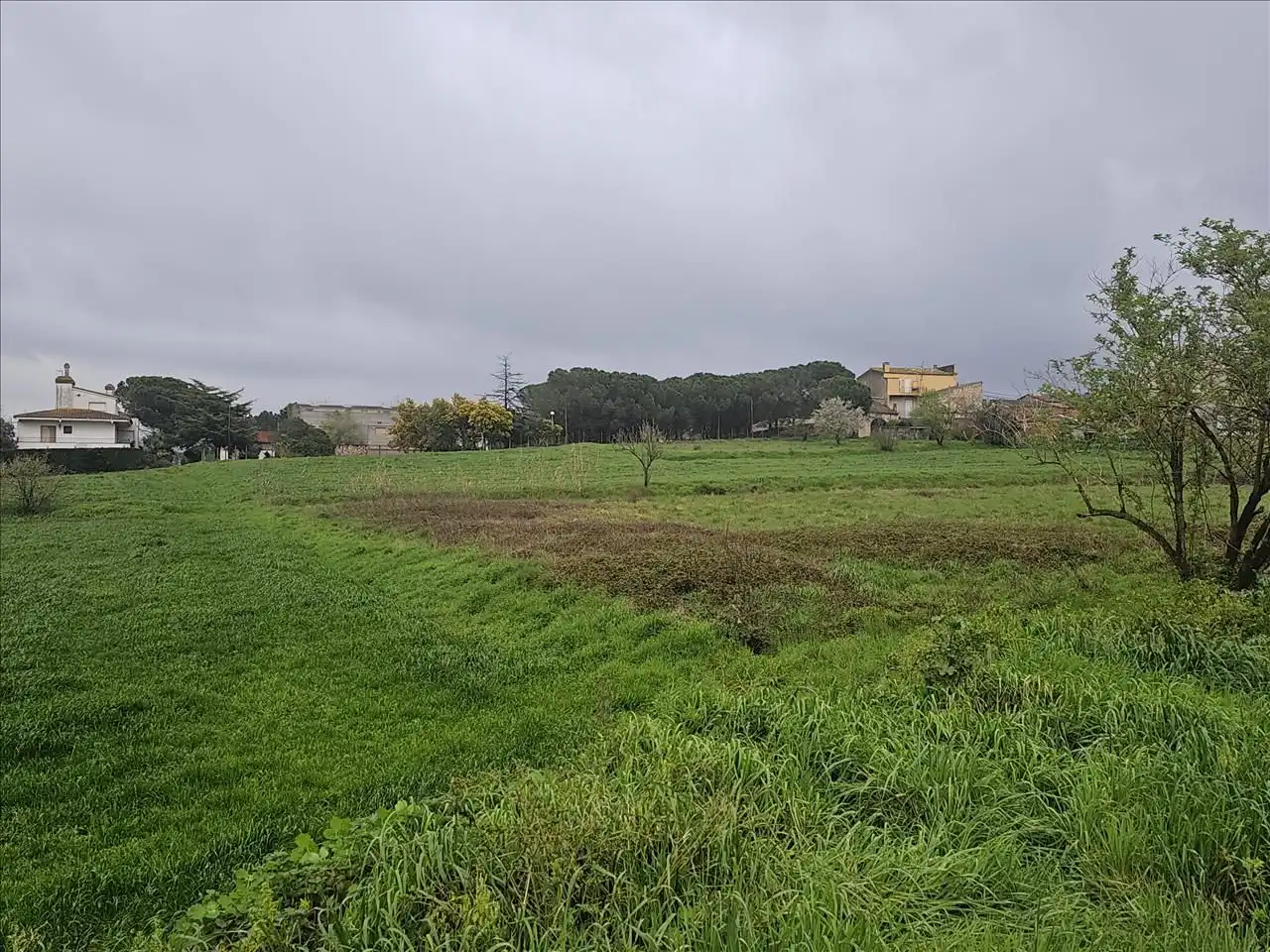 Terreny residencial en venda a El Quinta De La Casa Nova ( Cl Panedes), imagen 11