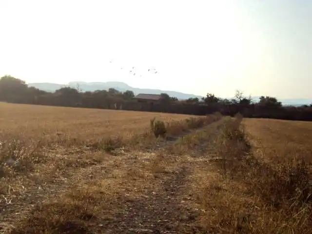 Terreny residencial en venda a Felanitx Poble