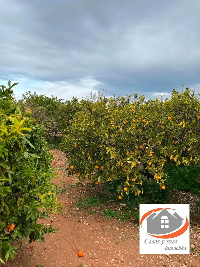 Terreno rustico in vendita a moli de llop, imagen 7