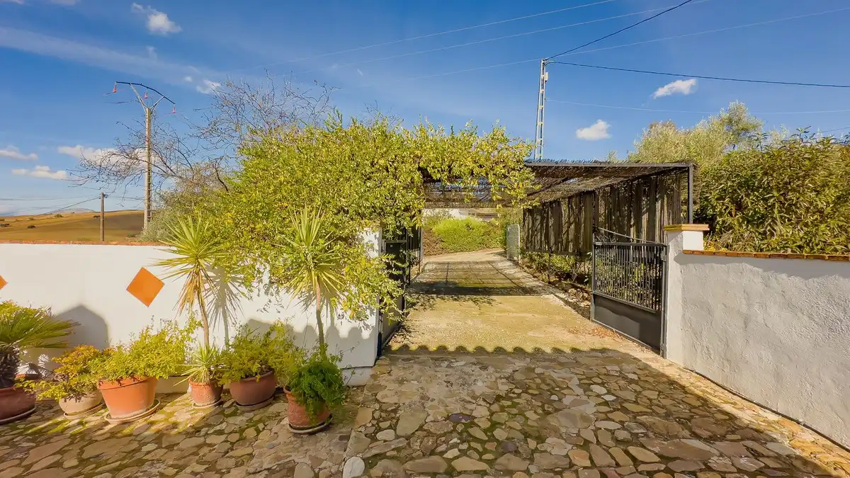 Jardí de Casa o xalet en venda en Almogía amb Aire condicionat, Jardí privat i Terrassa