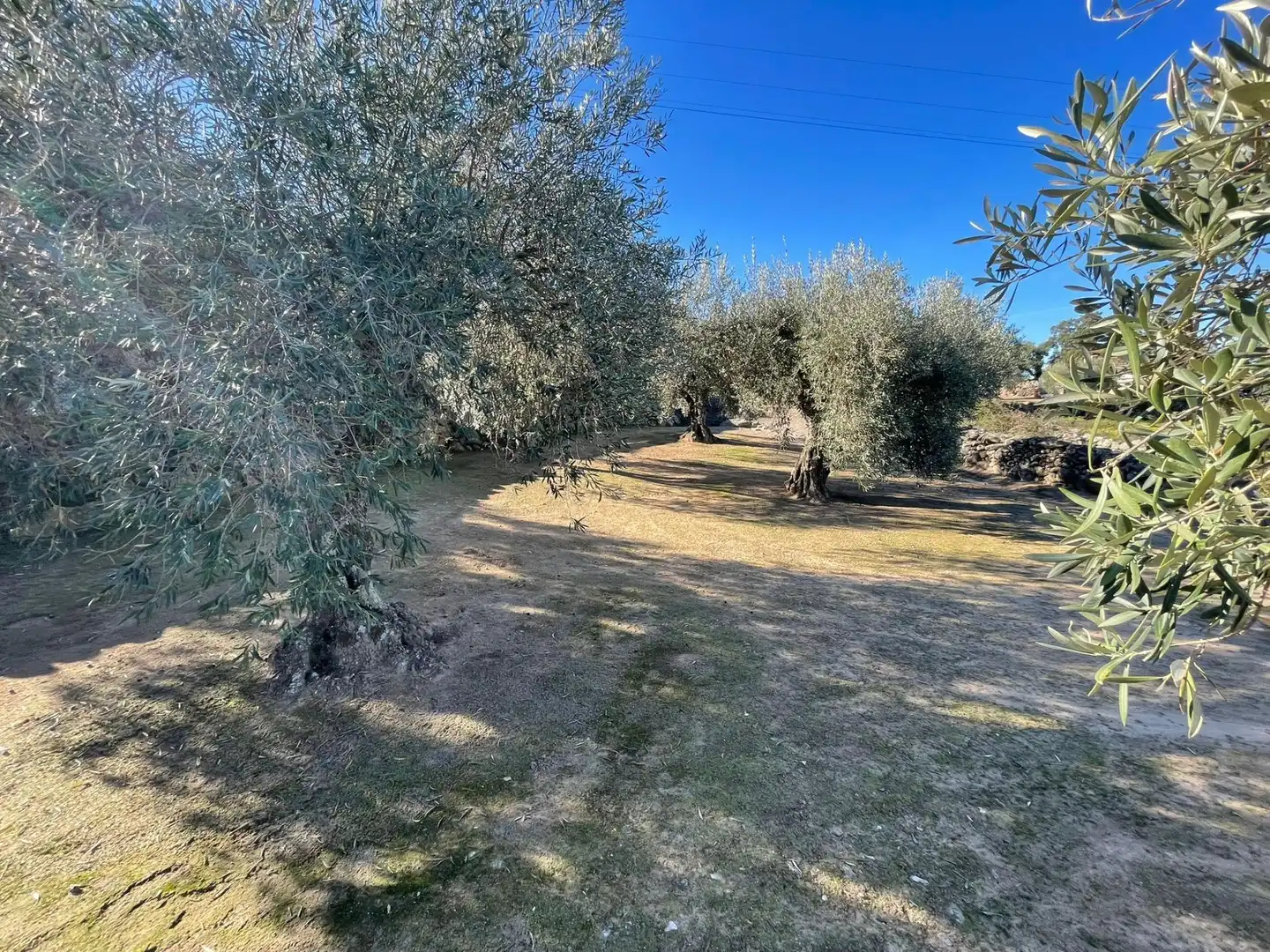 Terreni e lotti in vendita a Montánchez, imagen 14