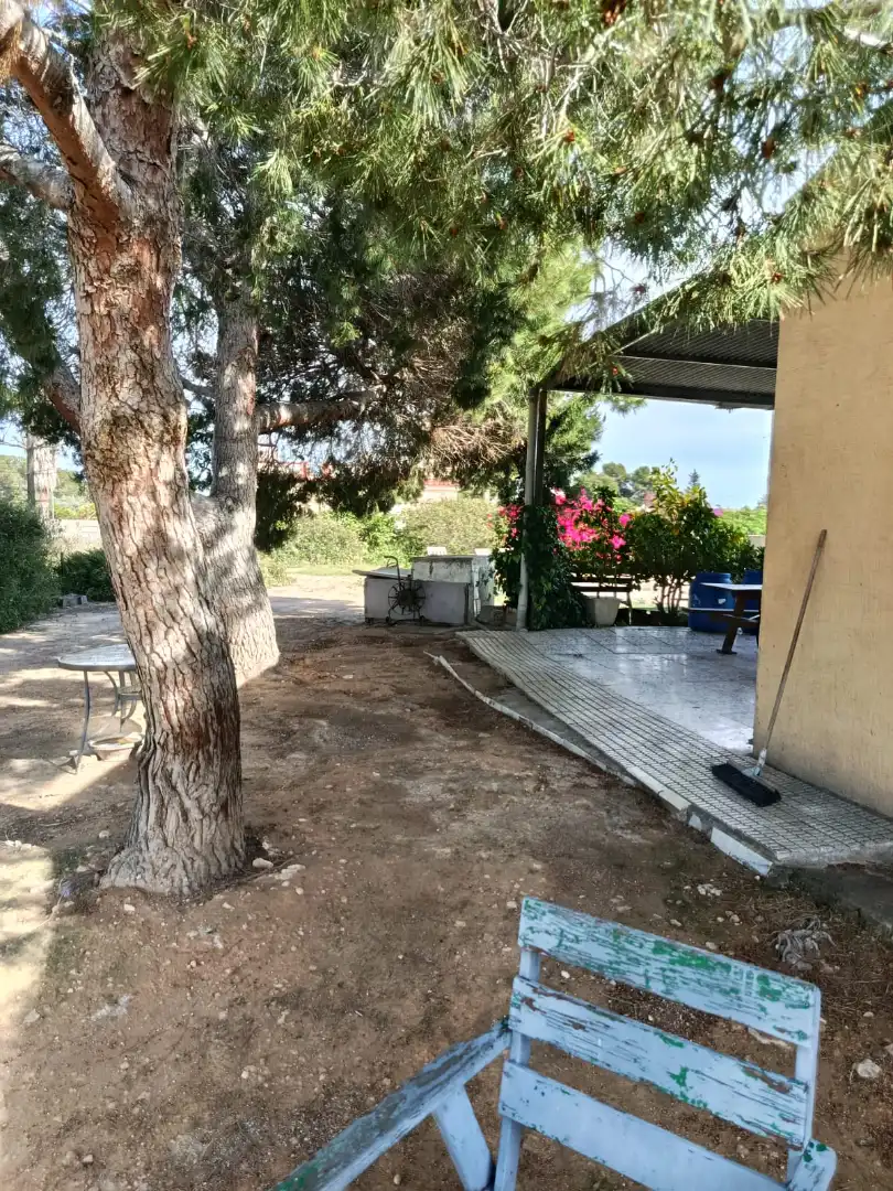 Terrassa de Casa o xalet en venda en Elche / Elx amb Terrassa