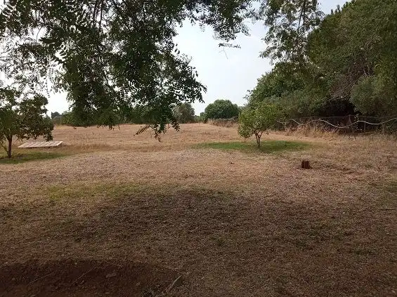 Residencial en venda en Constantí