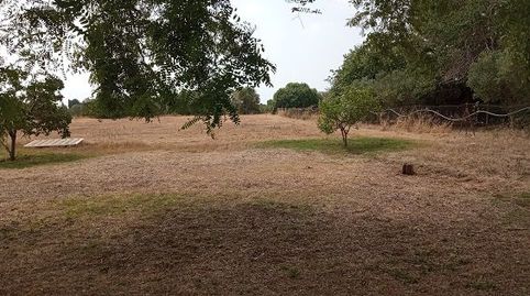 Parc. Rúst. en venta en Polígono., immagine 2