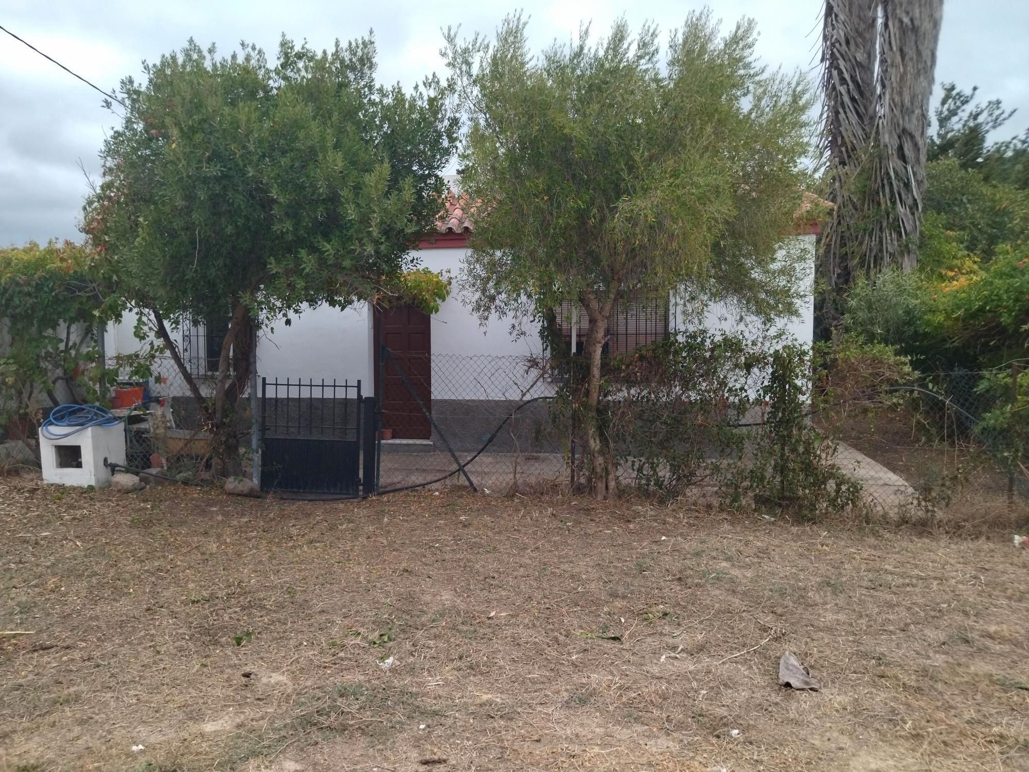 Exterior view of House or chalet for sale in Benalup-Casas Viejas  with Private garden and Storage room