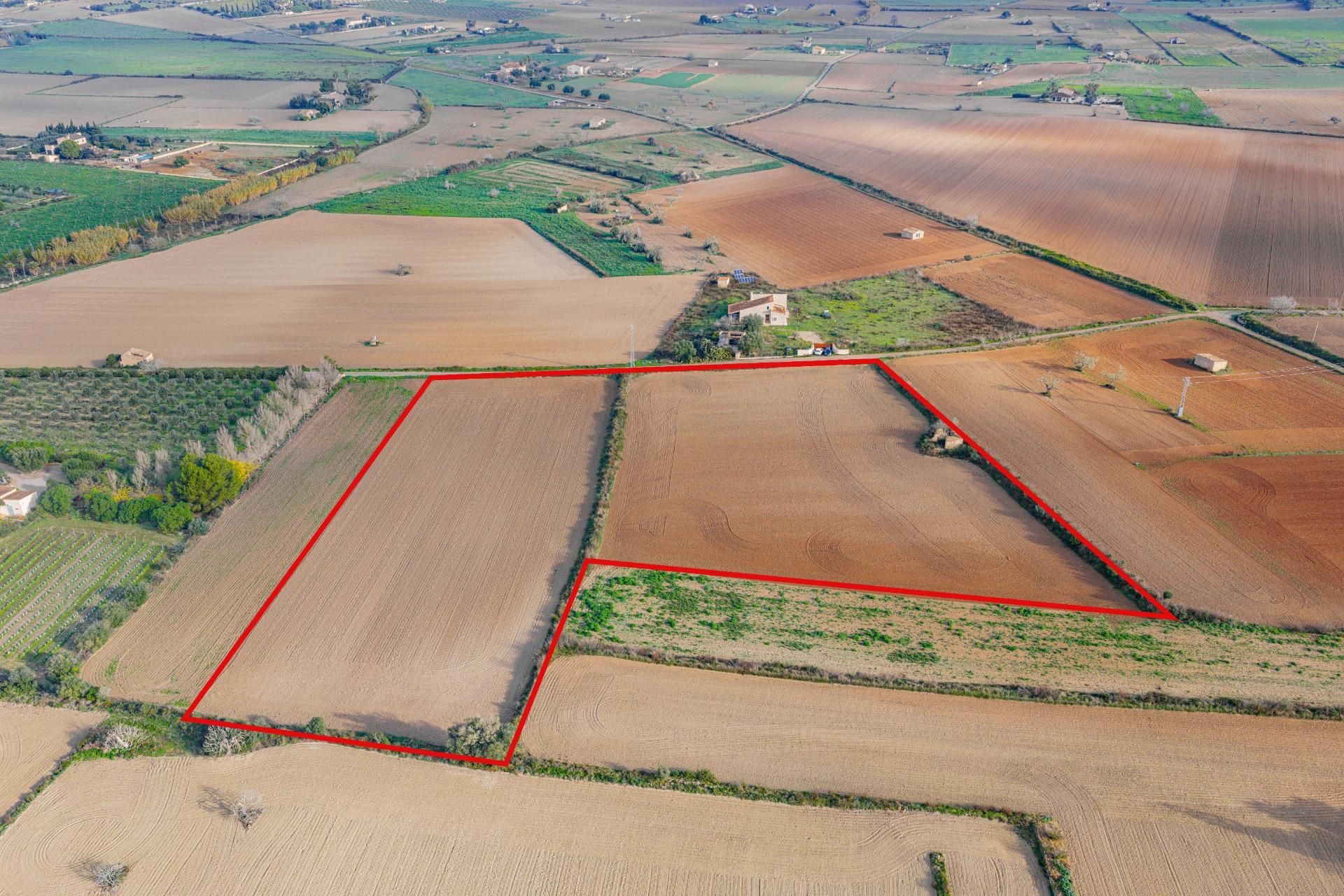 Grundstücke zum verkauf in Lloret de Vistalegre