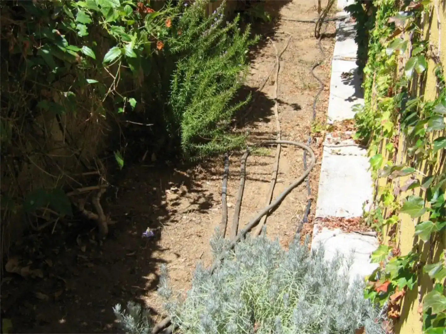 Jardí de Casa o xalet en venda en Mogán amb Balcó