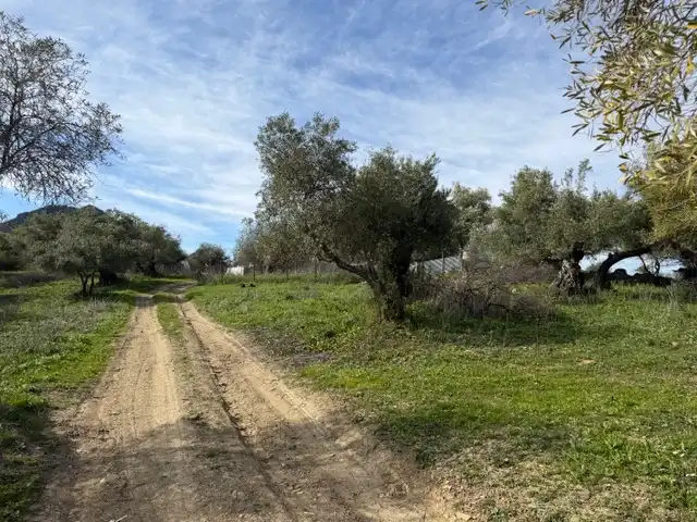 Land for sale in Ubrique