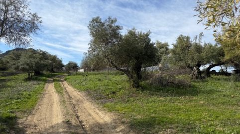 Photo 4 of Land for sale in Avenida de Los Callejones, Centro, Ubrique