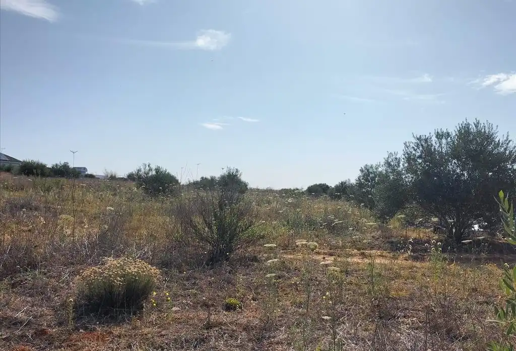 Terreni e lotti in vendita a Carretera de Palomares, imagen 26