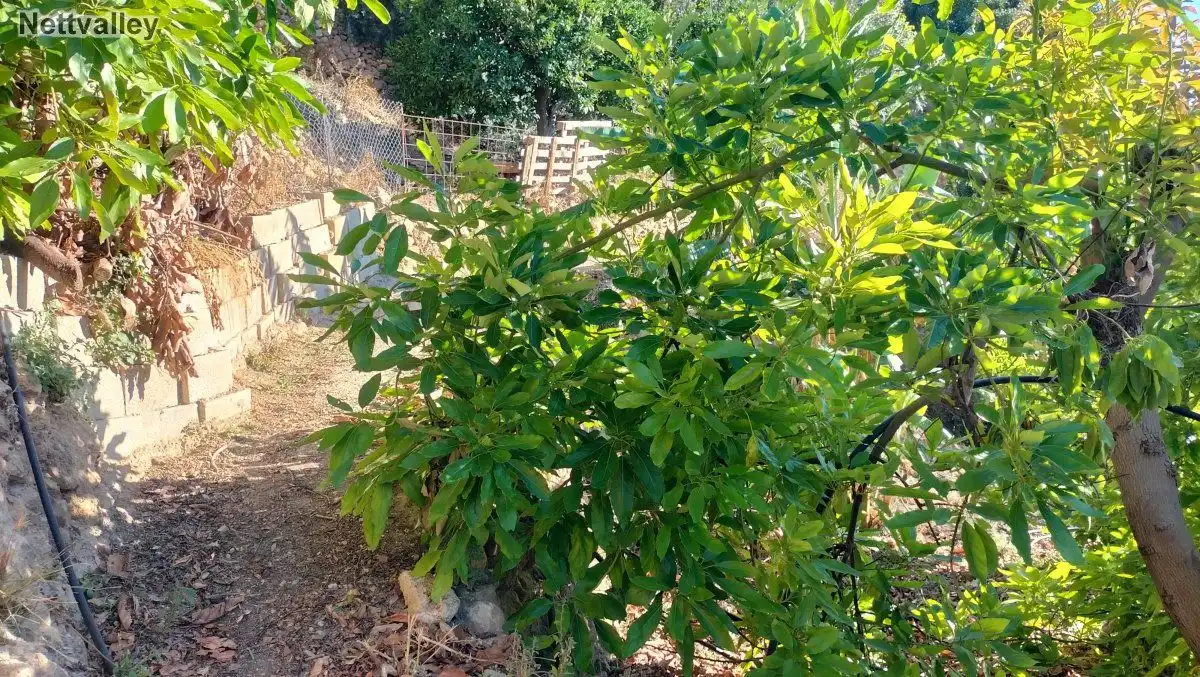 Terreni e lotti in vendita a CAMINO DE PINOS DEL VALLE, imagen 13
