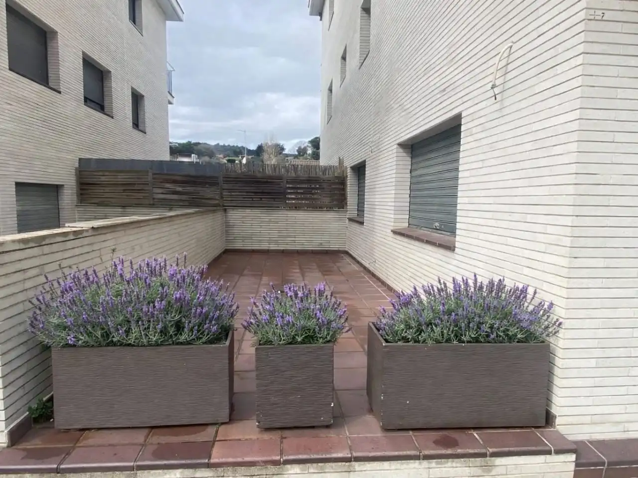 Terraza de Local de alquiler en Dosrius con Terraza