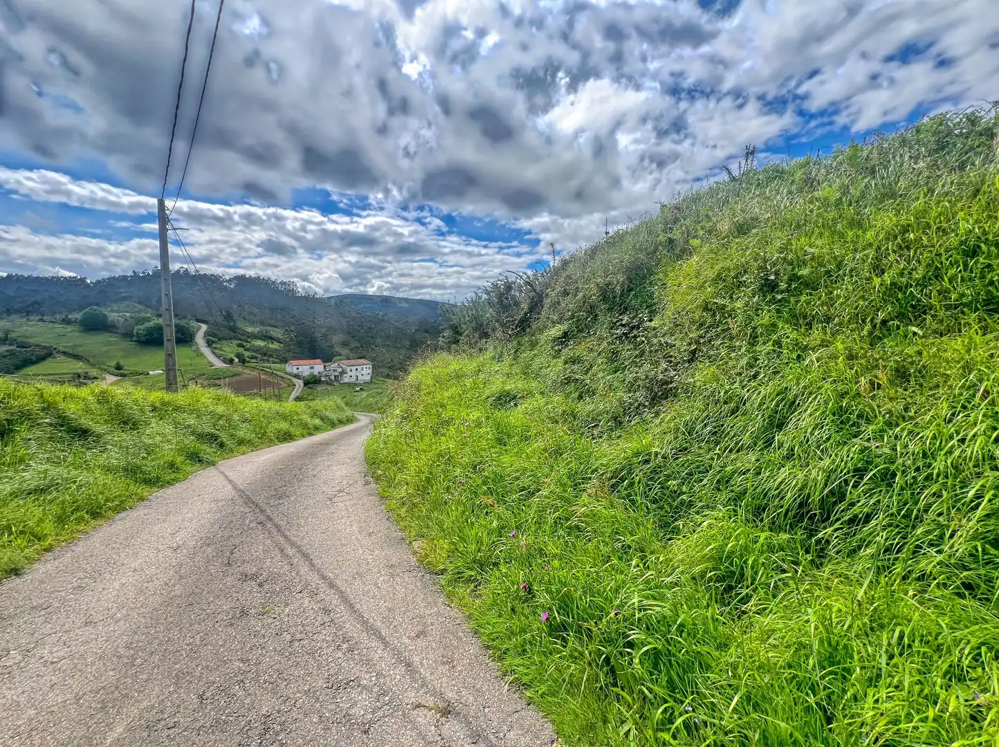 Lands and plots for sale in Pillarno, imagen 30