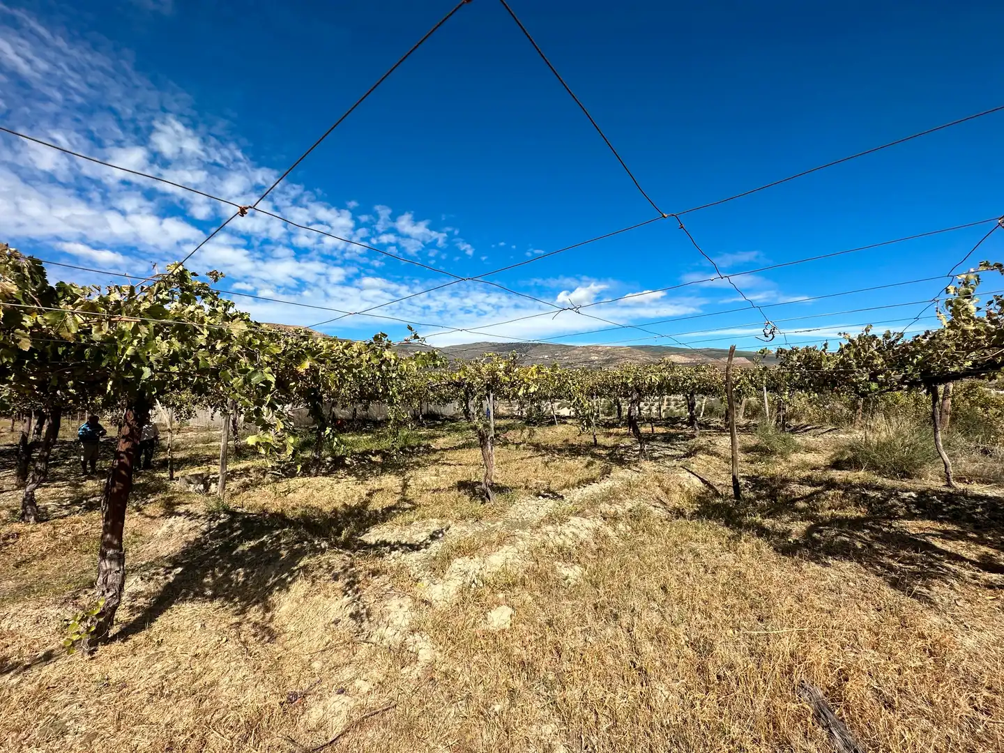 Finca rústica en venda en Canjáyar amb Jardí privat, Terrassa i Traster