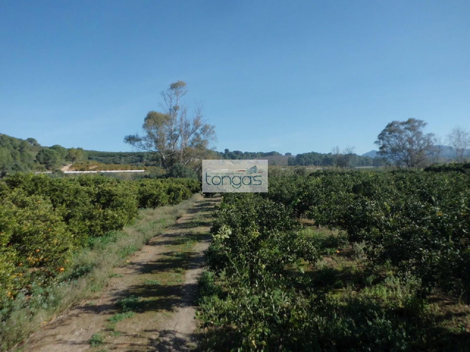 Terreno en venta en Llocnou d'En Fenollet