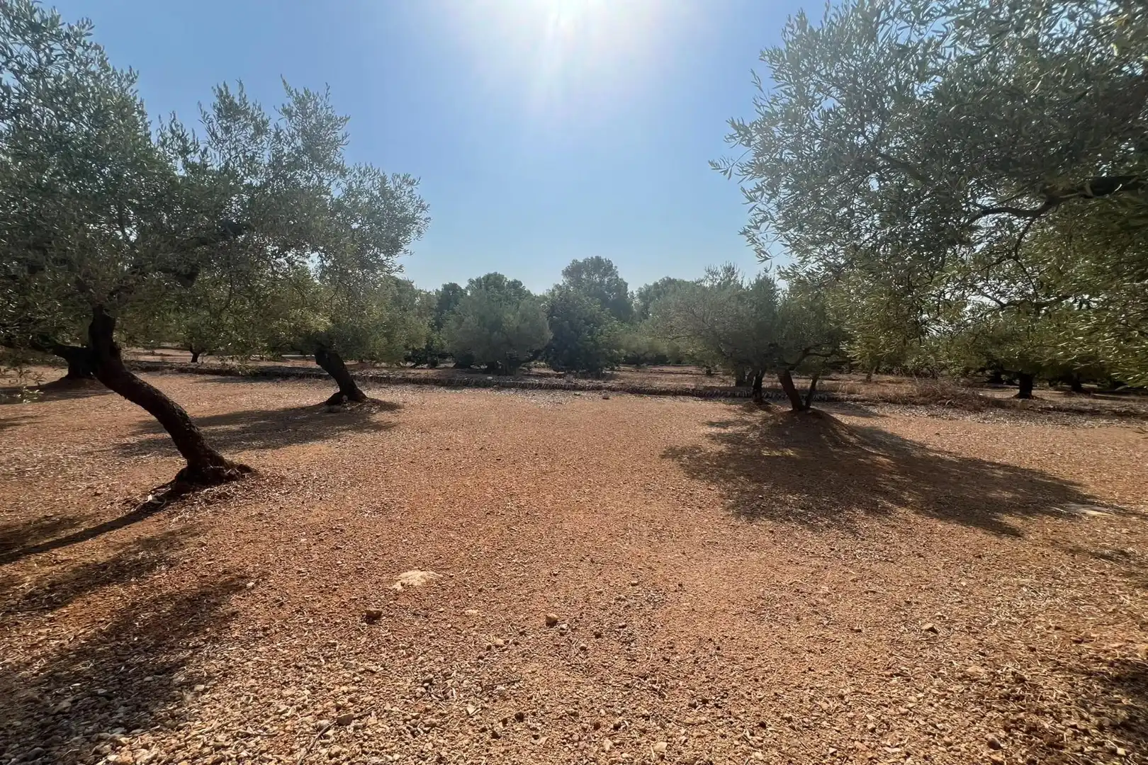 Casa rústica en venta en El Perelló, imagen 7